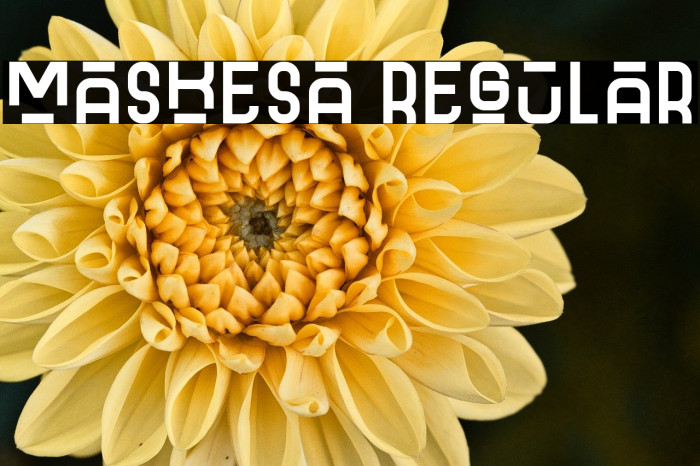 Maskesa Regular Example 1
