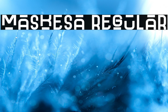 Maskesa Regular Example 3