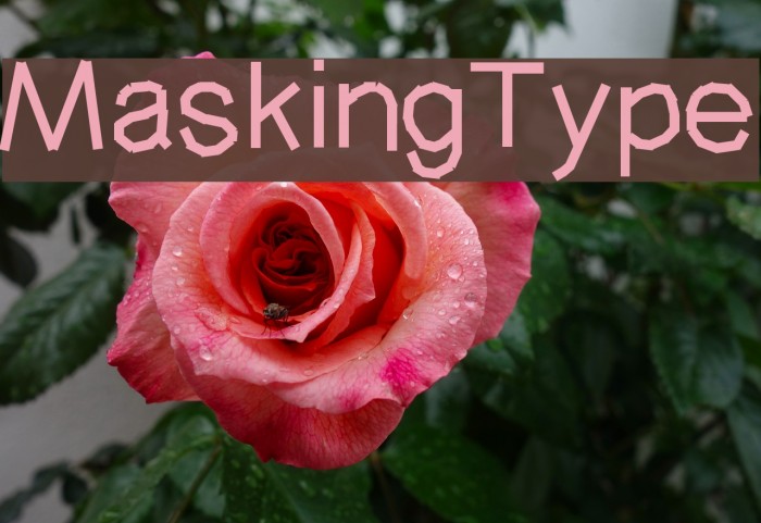MaskingType Font examples