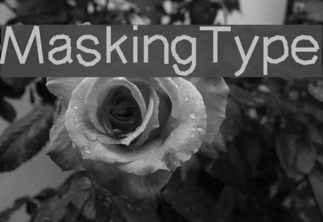 MaskingType Example 3