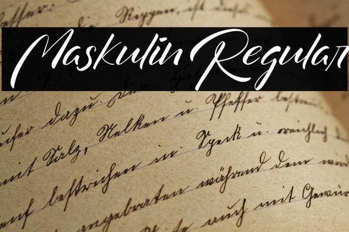 Maskulin-Regular Example 1