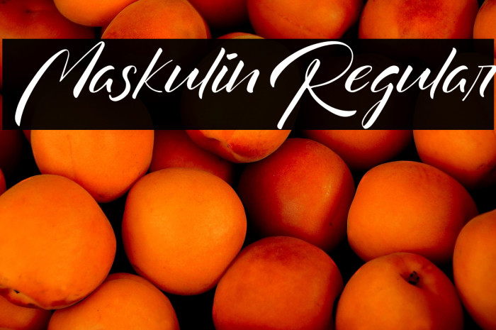 Maskulin-Regular Example 3