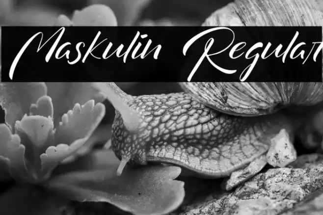 Maskulin Regular Font examples