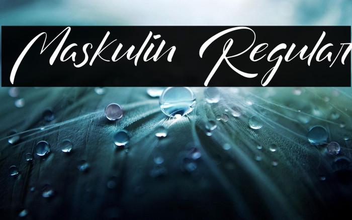 Maskulin Regular Example 2