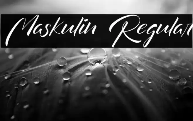Maskulin Regular Font examples
