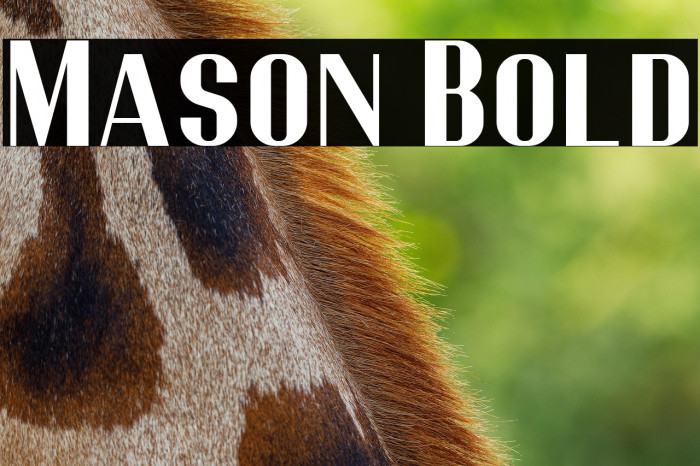 Mason Bold Example 3