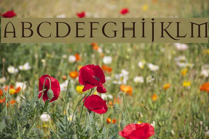 Mason Regular Example 2