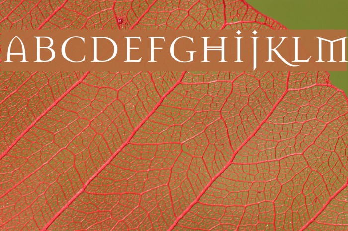 Mason Regular Example 3