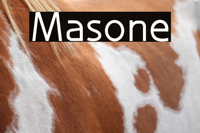Masone Example 2