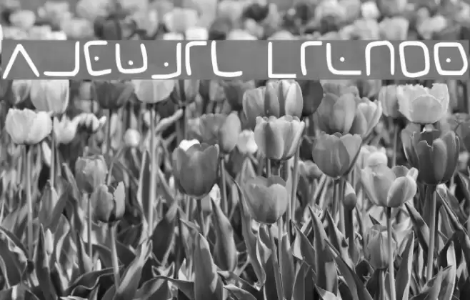 Masonic Cipher Font examples