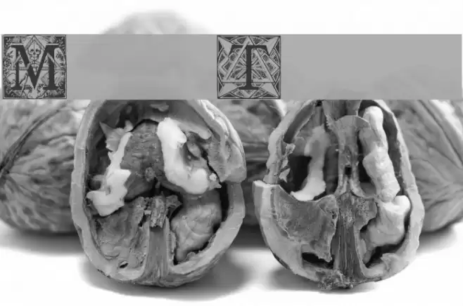 MasonicTattegrain Font examples