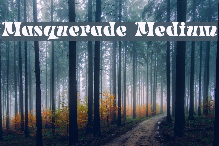 Masquerade Medium Example 2