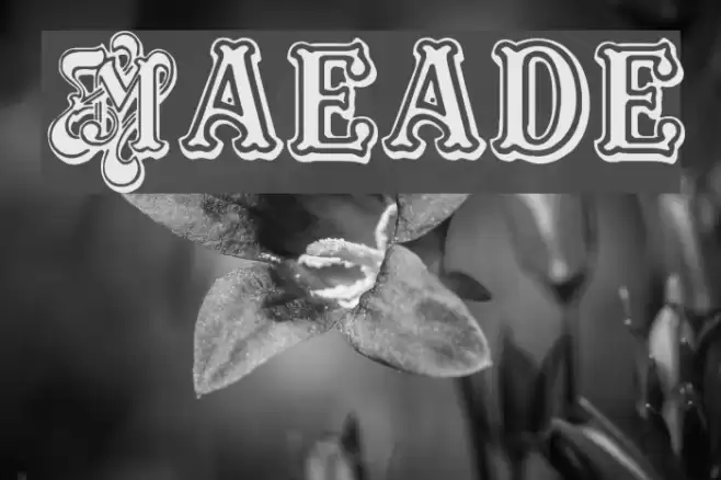 Masquerade Font examples