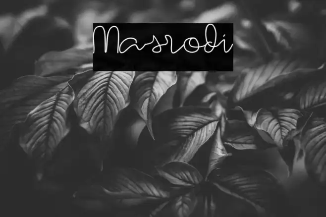 Masrodi Example 1