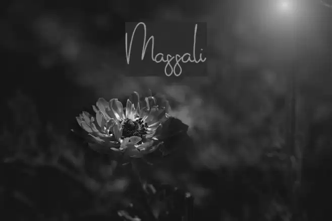 Massali Font examples