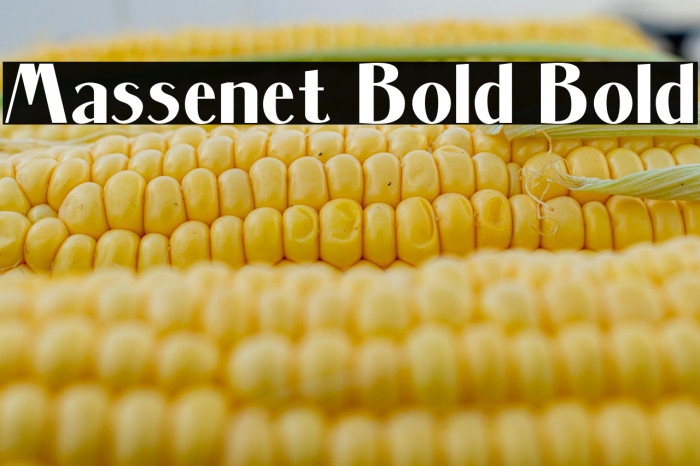 Massenet Bold Bold Example 2