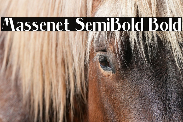 Massenet SemiBold Bold Example 2