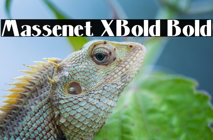 Massenet XBold Bold Example 2