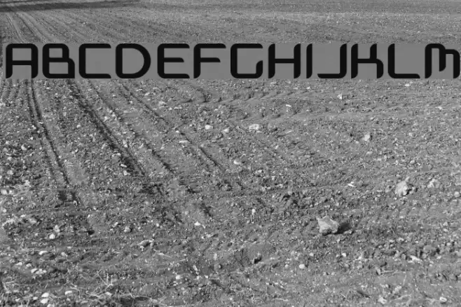 Massimo Bold Font examples