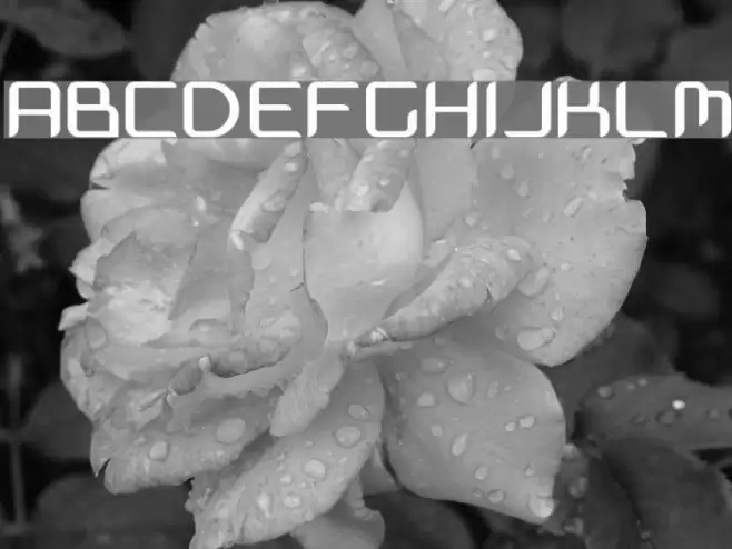 Massimo Font examples