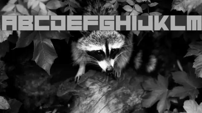 Massive Bassline Font examples