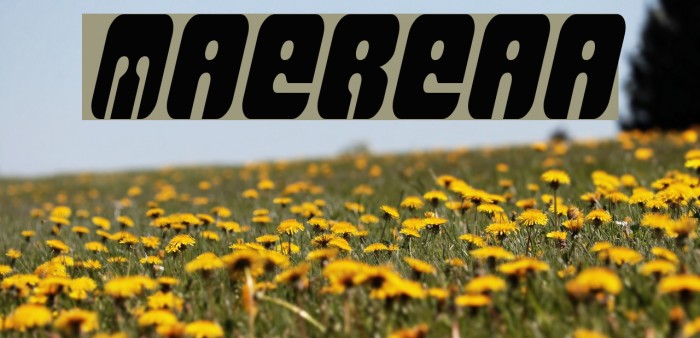 MassiveRetaliation Font examples