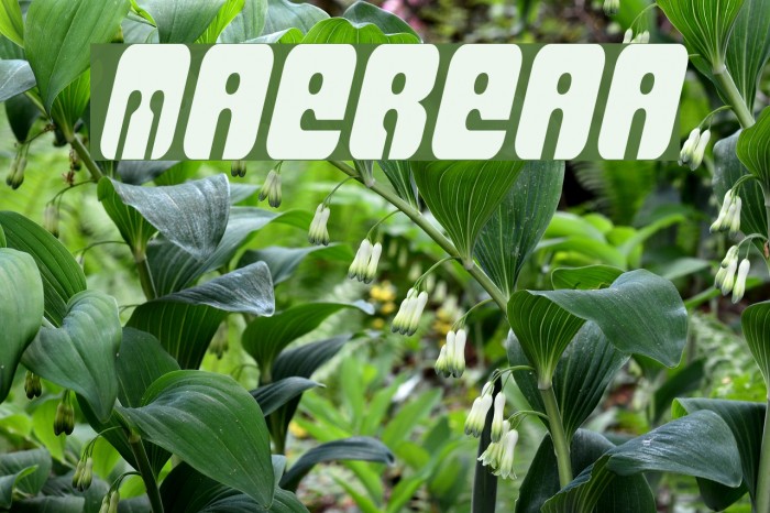 MassiveRetaliation Font examples