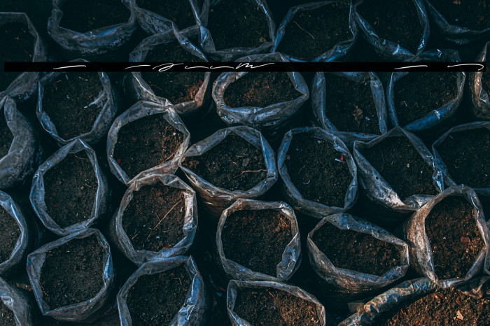 Massmellow Swash Example 2