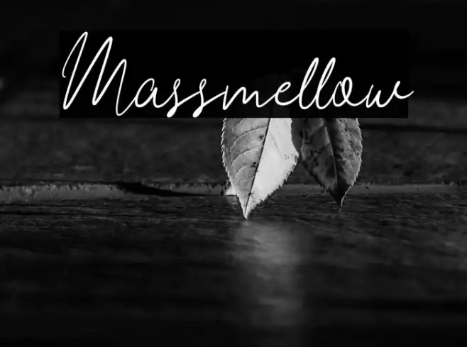 Massmellow Example 2