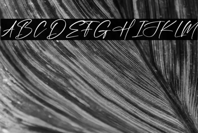 Massterdam Fontera Schriftart examples