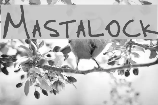 Mastalock Font examples