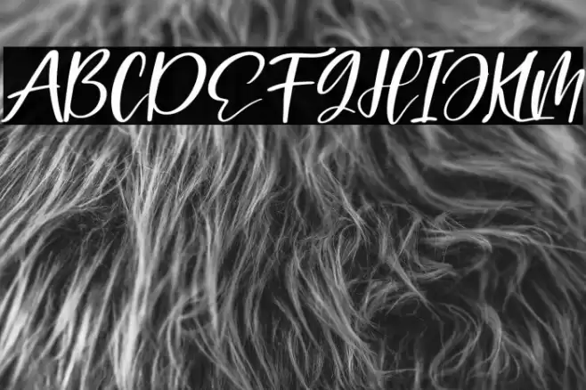 Mastelo Italic Font examples