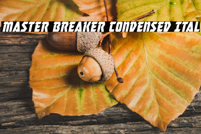 Master Breaker Condensed Ital Example 3