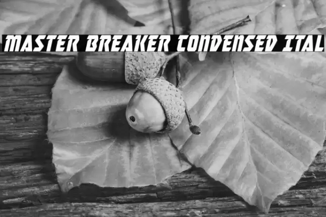 Master Breaker Condensed Ital Font examples