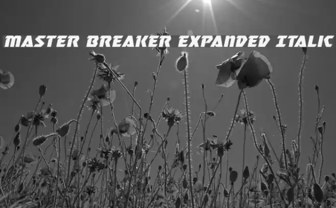 Master Breaker Expanded Italic Font examples
