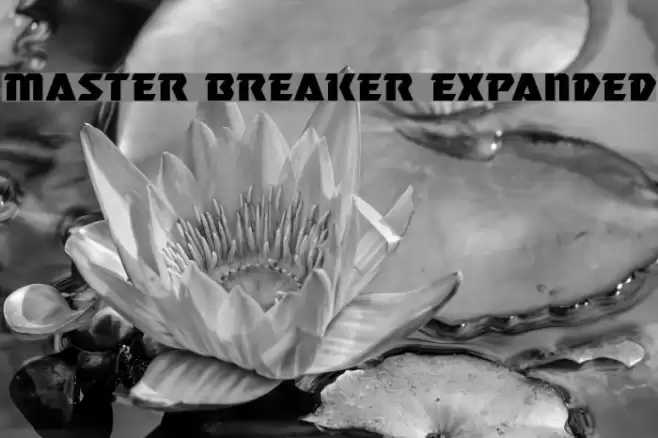 Master Breaker Expanded Font examples