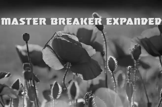 Master Breaker Expanded Font examples