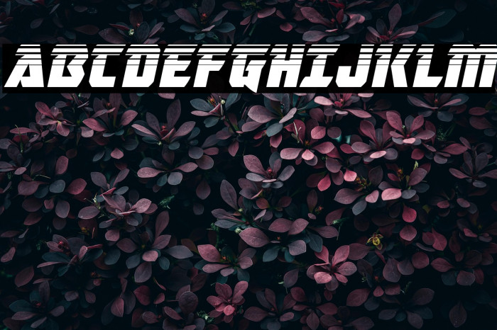 Master Breaker Halftone Italic Example 2