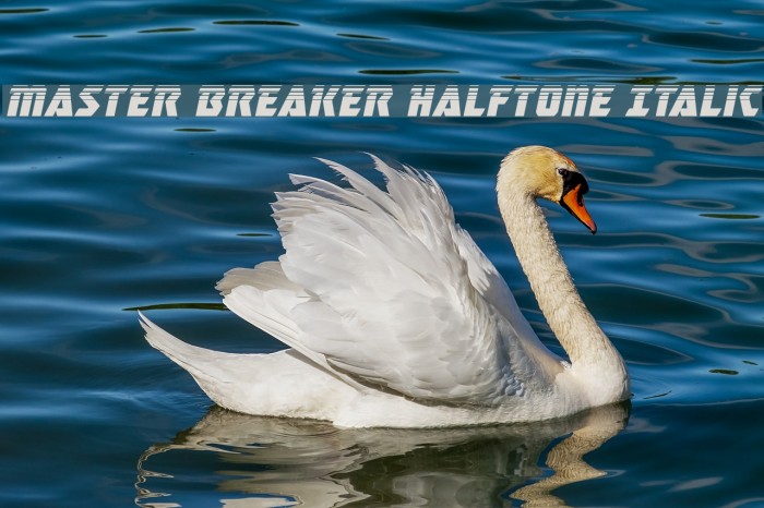 Master Breaker Halftone Italic Font examples