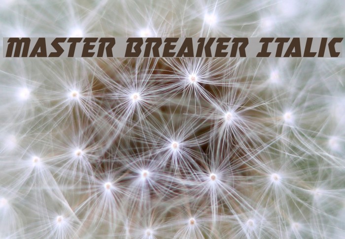 Master Breaker Italic Font examples