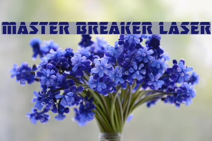 Master Breaker Laser Font examples