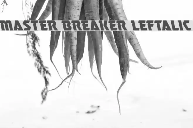 Master Breaker Leftalic Font examples