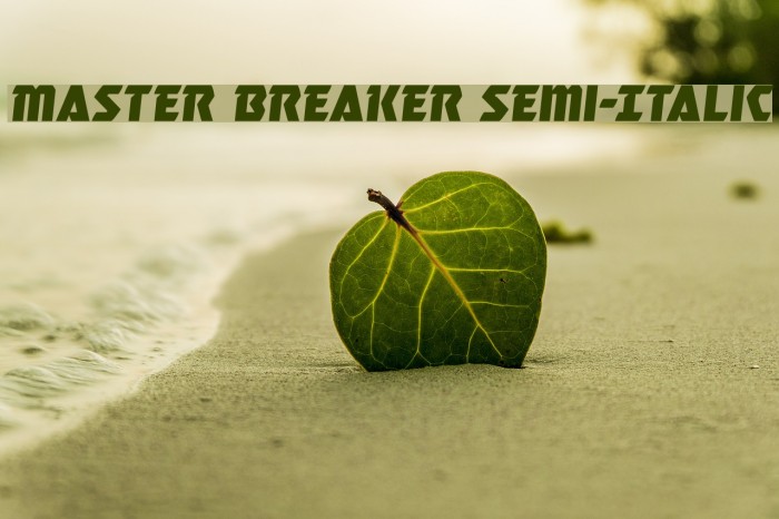 Master Breaker Semi-Italic Font examples