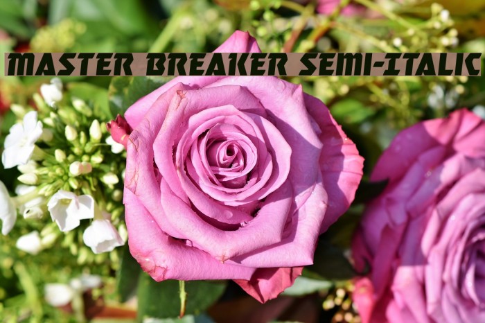Master Breaker Semi-Italic Font examples