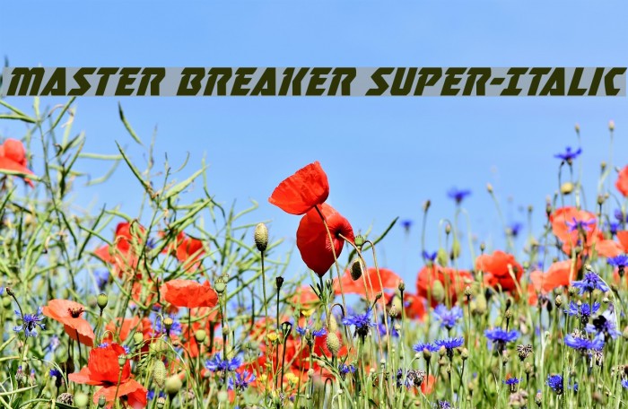 Master Breaker Super-Italic Caratteri examples