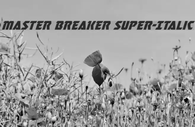 Master Breaker Super-Italic Font examples