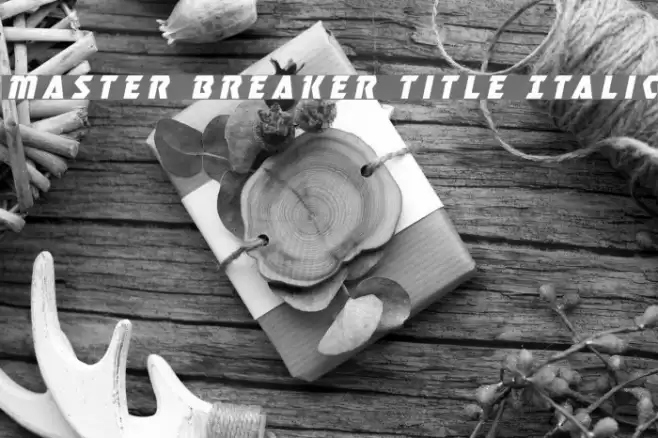 Master Breaker Title Italic Font examples