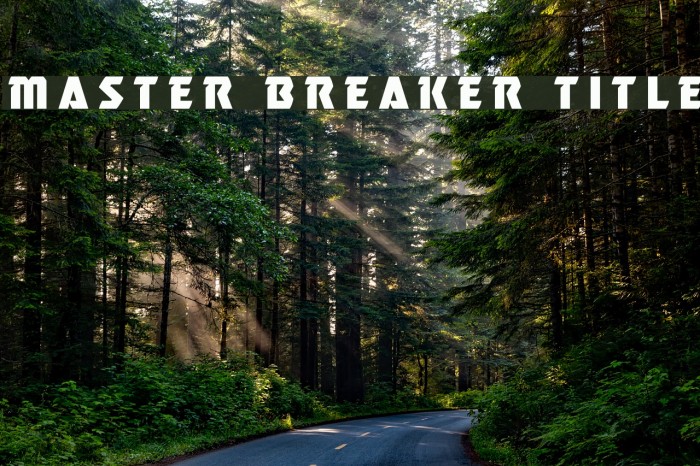 Master Breaker Title Font examples