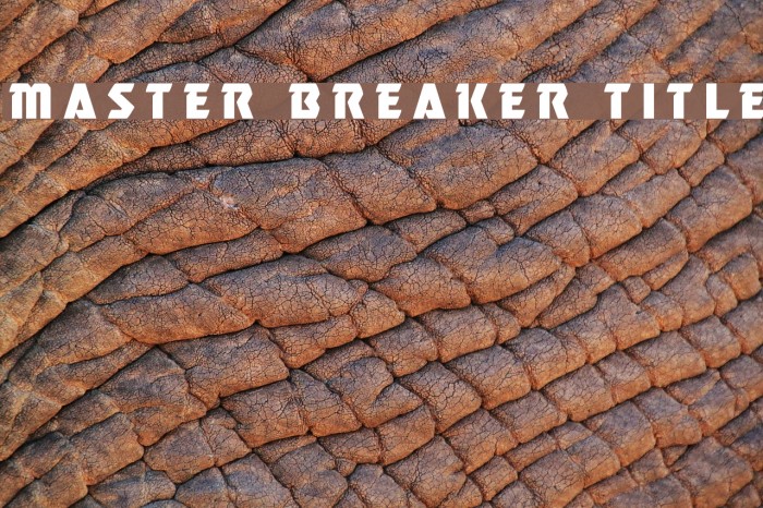 Master Breaker Title Font examples