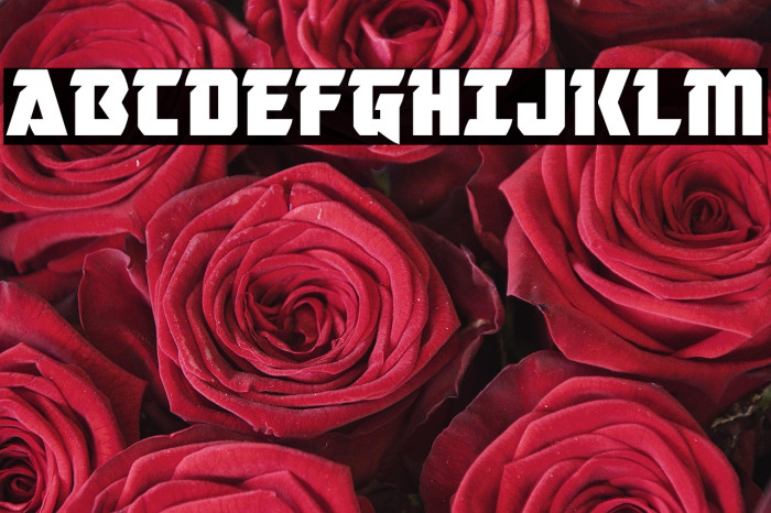 Master Breaker Example 3